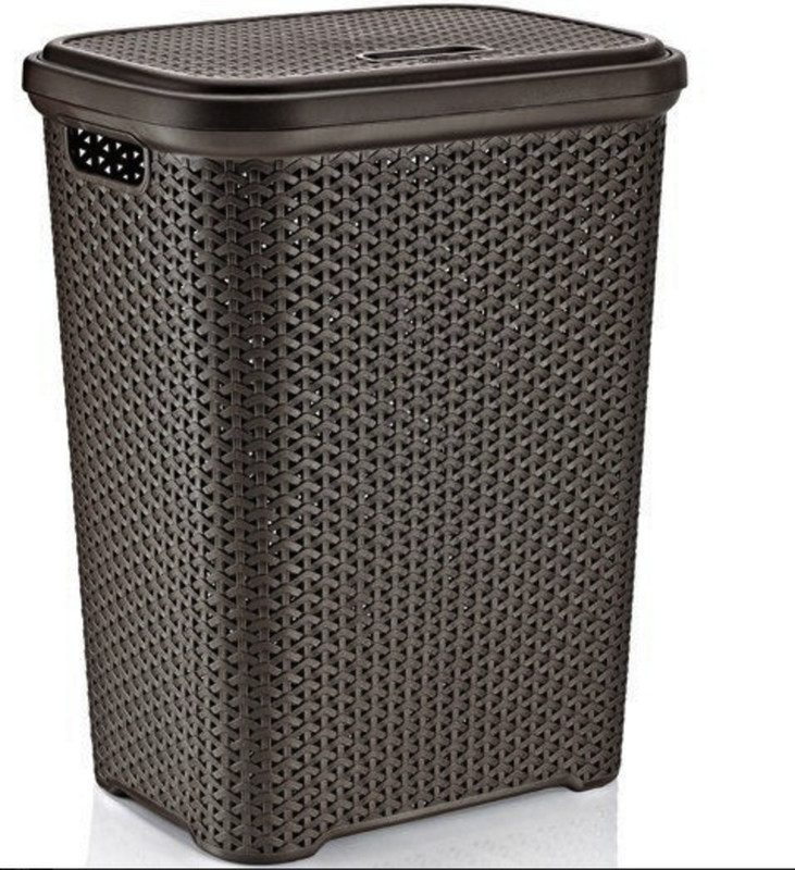 New fashion design Plastic Laundry Basket Mould with cover